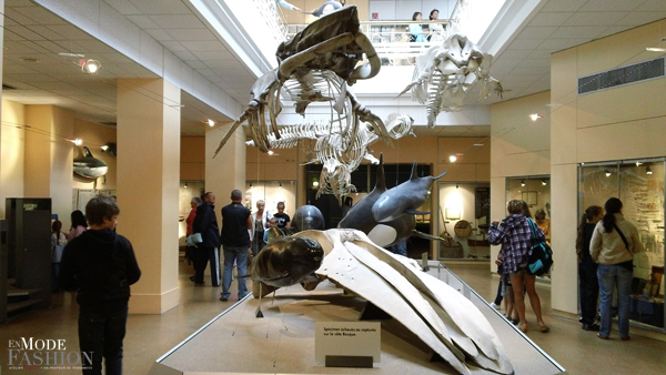 L'Aquarium du Musée de la Mer de Biarritz