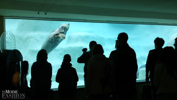 L'Aquarium du Musée de la Mer de Biarritz