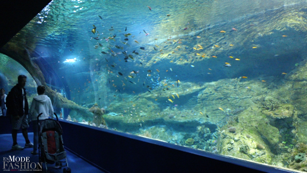 L'Aquarium du Musée de la Mer de Biarritz