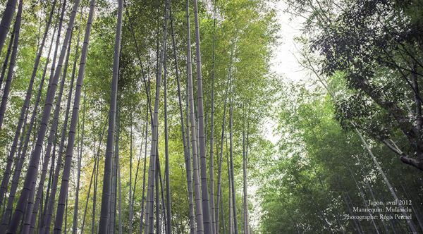 Les Prairies de Tokyo par L'Exception