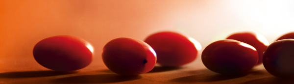 baies de goji