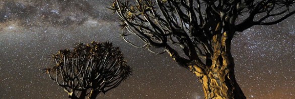 Namibian Nights - un timelapse de Marsel van Oosten