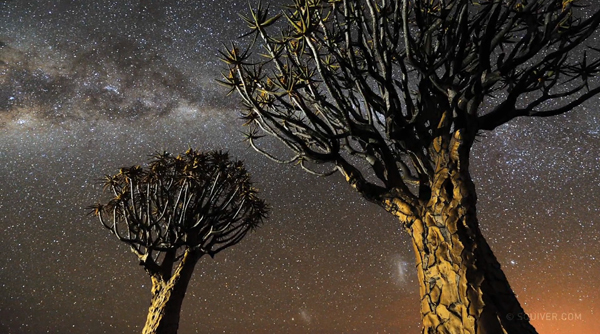 Namibian Nights - un timelapse de Marsel van Oosten