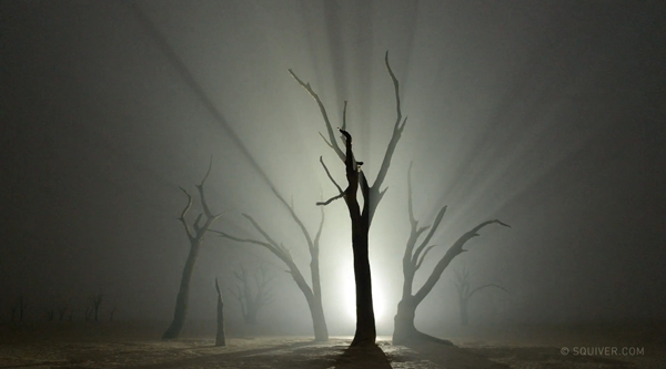 Namibian Nights - un timelapse de Marsel van Oosten