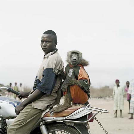 Pieter Hugo - The hyena and other men