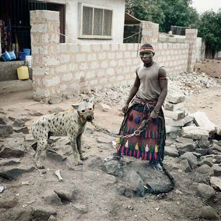 Pieter Hugo - The hyena and other men